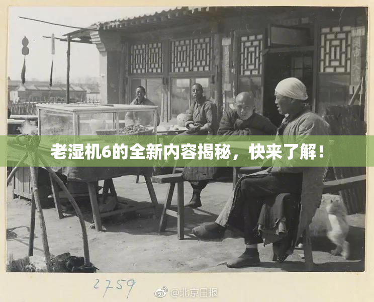 老湿机6的全新内容揭秘，快来了解！