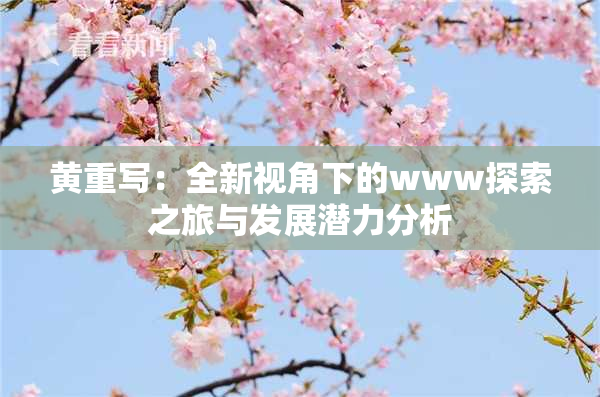黄重写：全新视角下的www探索之旅与发展潜力分析