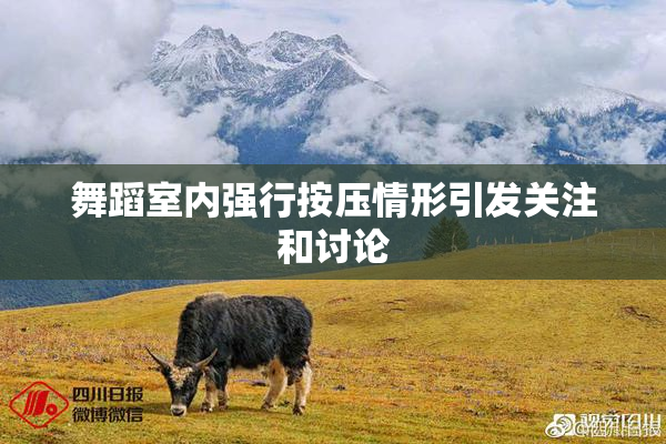 舞蹈室内强行按压情形引发关注和讨论