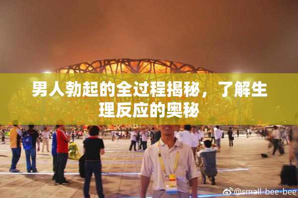男人勃起的全过程揭秘，了解生理反应的奥秘