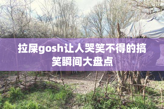 拉屎gosh让人哭笑不得的搞笑瞬间大盘点