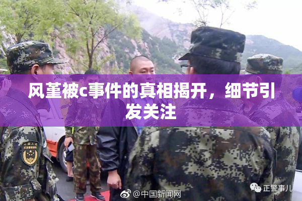 风堇被c事件的真相揭开，细节引发关注