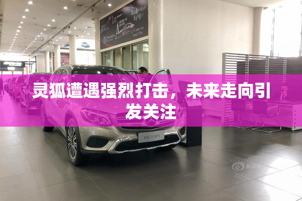 灵狐遭遇强烈打击，未来走向引发关注