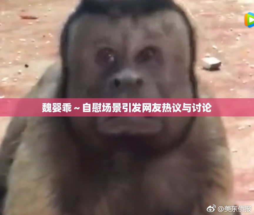 魏婴乖～自慰场景引发网友热议与讨论