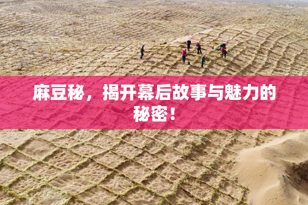 麻豆秘，揭开幕后故事与魅力的秘密！
