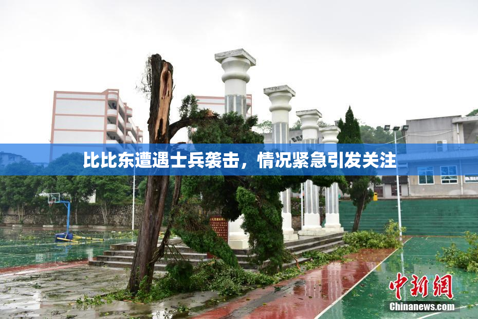 比比东遭遇士兵袭击，情况紧急引发关注