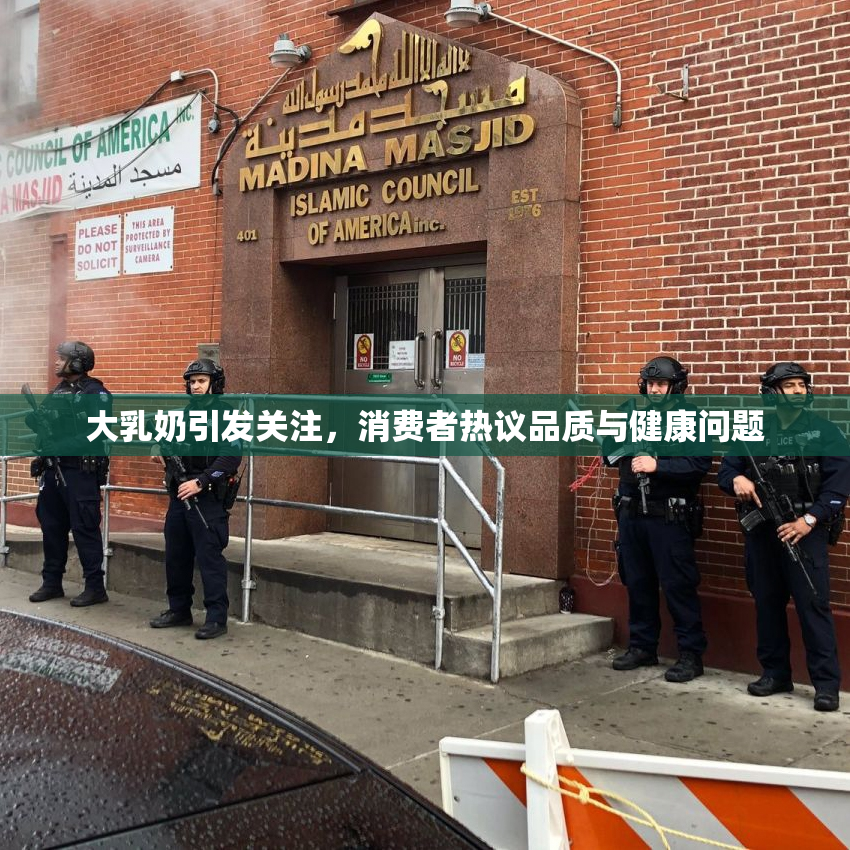 大乳奶引发关注，消费者热议品质与健康问题