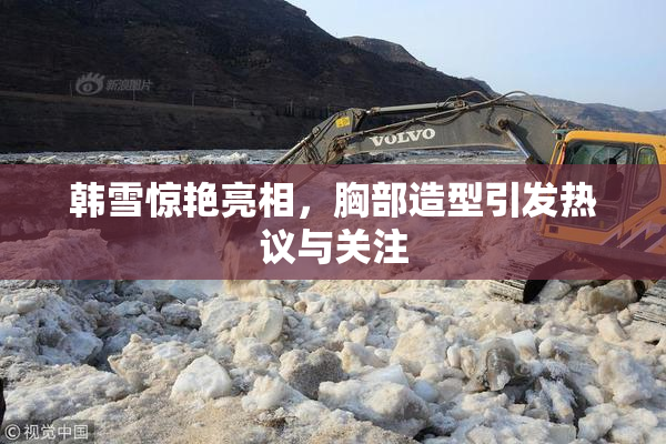 韩雪惊艳亮相，胸部造型引发热议与关注