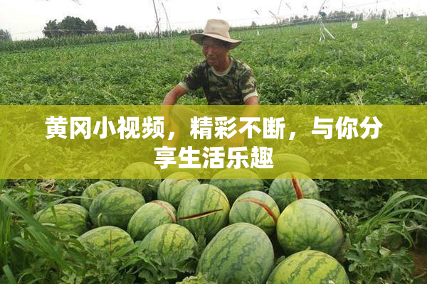 黄冈小视频，精彩不断，与你分享生活乐趣