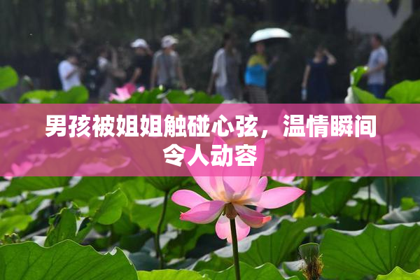 男孩被姐姐触碰心弦，温情瞬间令人动容