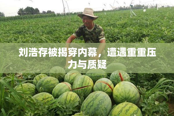 刘浩存被揭穿内幕，遭遇重重压力与质疑