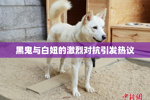 黑鬼与白妞的激烈对抗引发热议
