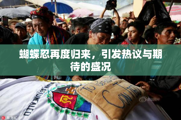 蝴蝶忍再度归来，引发热议与期待的盛况