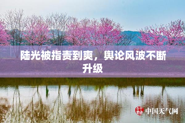 陆光被指责到爽，舆论风波不断升级