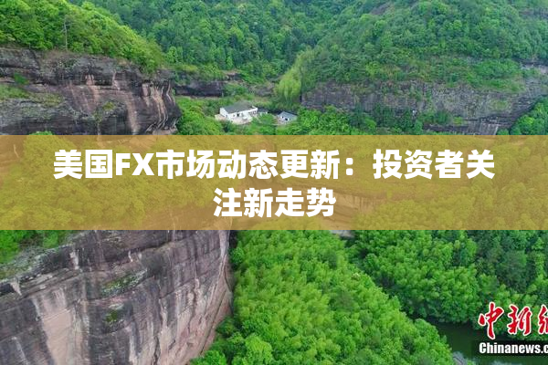 美国FX市场动态更新：投资者关注新走势