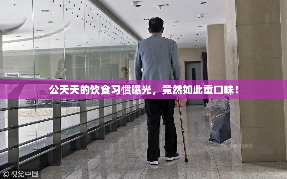 公天天的饮食习惯曝光，竟然如此重口味！