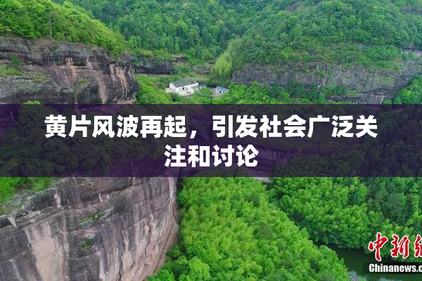 黄片风波再起，引发社会广泛关注和讨论