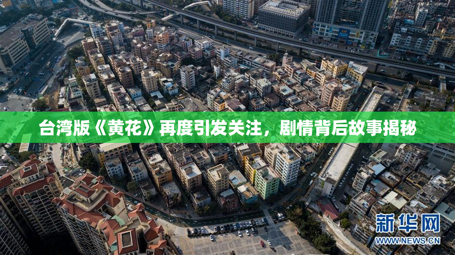 台湾版《黄花》再度引发关注，剧情背后故事揭秘