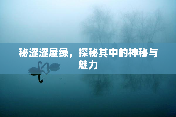 秘涩涩屋绿，探秘其中的神秘与魅力