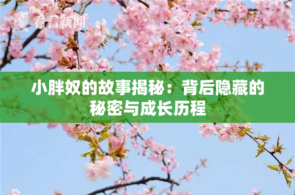 小胖奴的故事揭秘：背后隐藏的秘密与成长历程