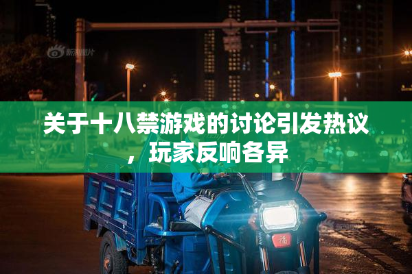 关于十八禁游戏的讨论引发热议，玩家反响各异
