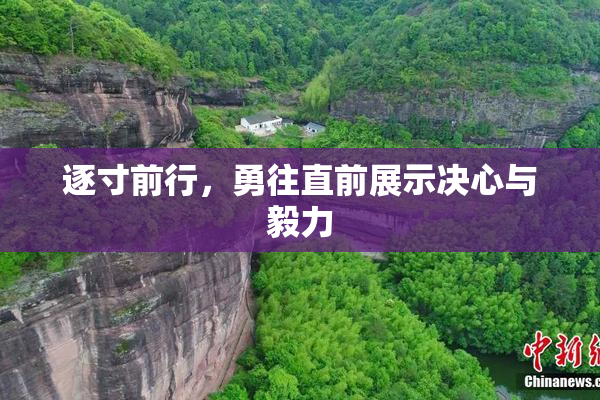 逐寸前行，勇往直前展示决心与毅力
