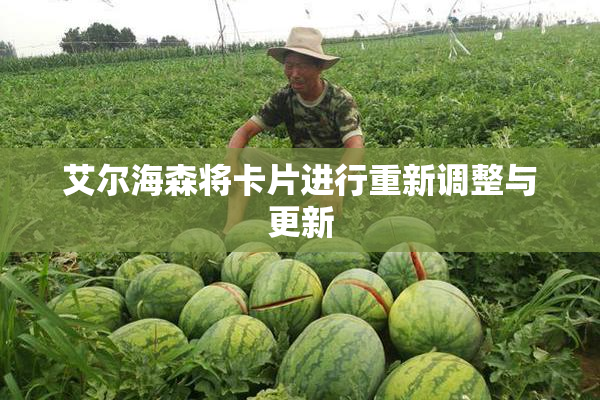 艾尔海森将卡片进行重新调整与更新