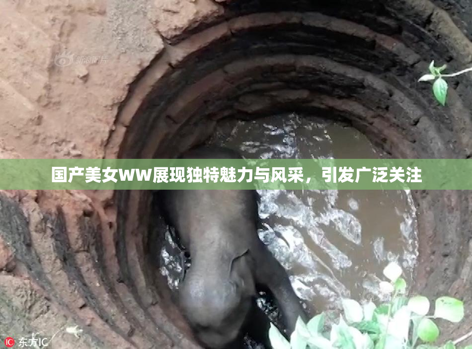 国产美女WW展现独特魅力与风采，引发广泛关注