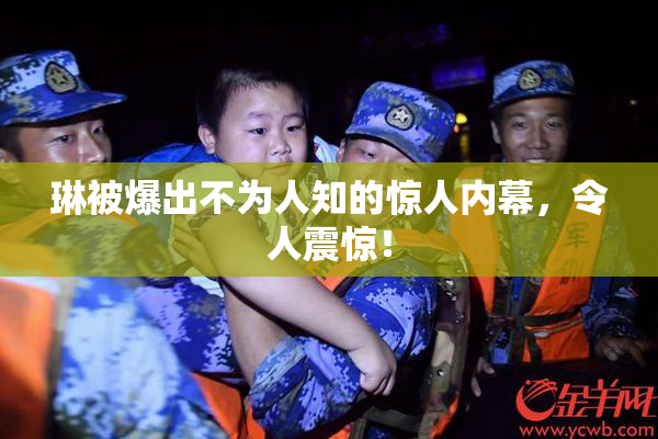 琳被爆出不为人知的惊人内幕，令人震惊！