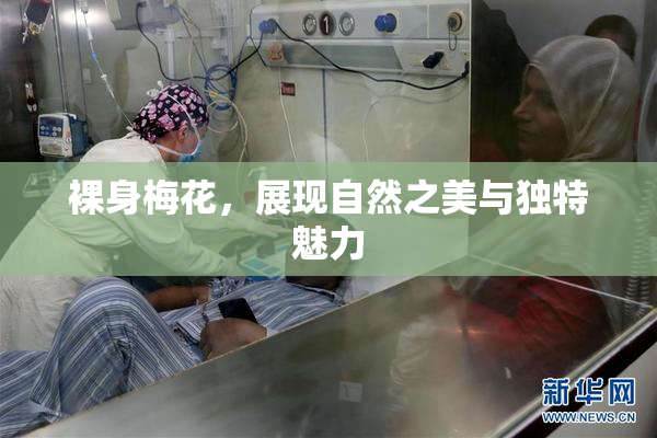 裸身梅花，展现自然之美与独特魅力