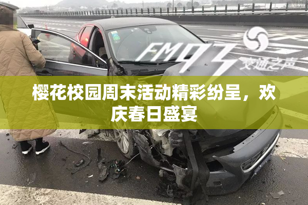 樱花校园周末活动精彩纷呈，欢庆春日盛宴