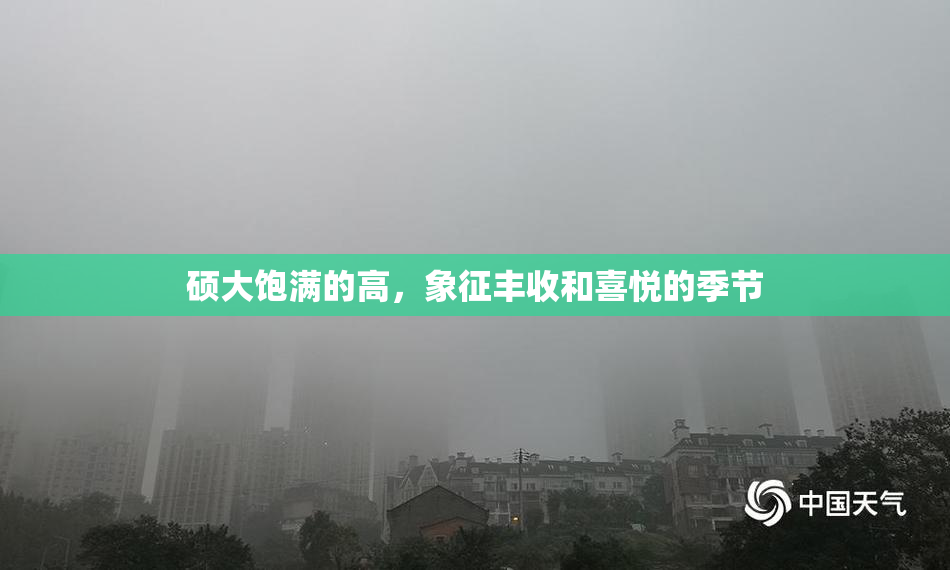 硕大饱满的高，象征丰收和喜悦的季节
