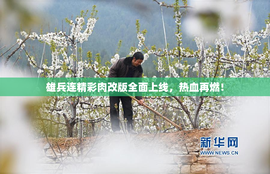雄兵连精彩肉改版全面上线，热血再燃！