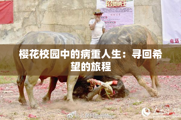 樱花校园中的病重人生：寻回希望的旅程