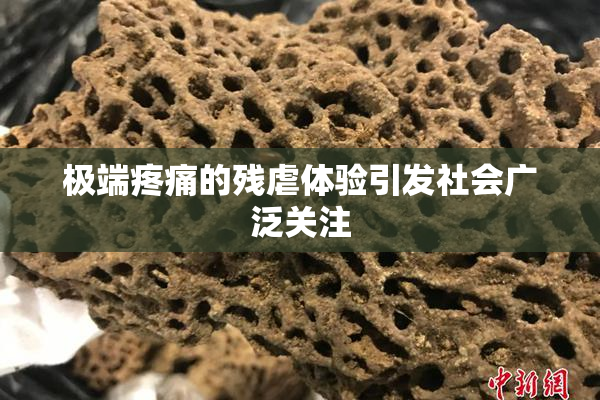 极端疼痛的残虐体验引发社会广泛关注