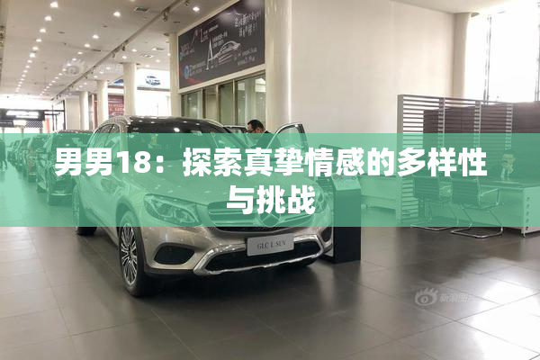 男男18：探索真挚情感的多样性与挑战