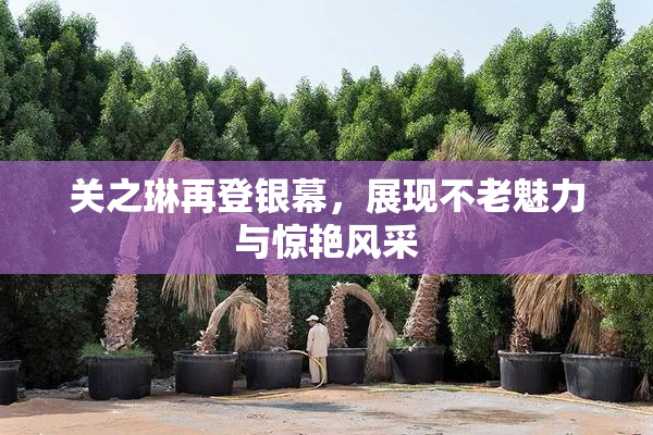 关之琳再登银幕，展现不老魅力与惊艳风采