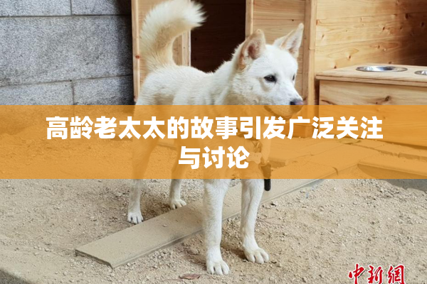高龄老太太的故事引发广泛关注与讨论