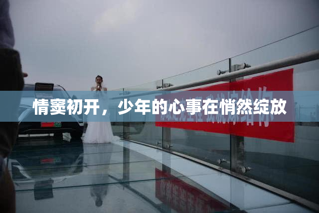 情窦初开，少年的心事在悄然绽放