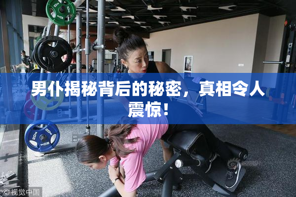 男仆揭秘背后的秘密，真相令人震惊！