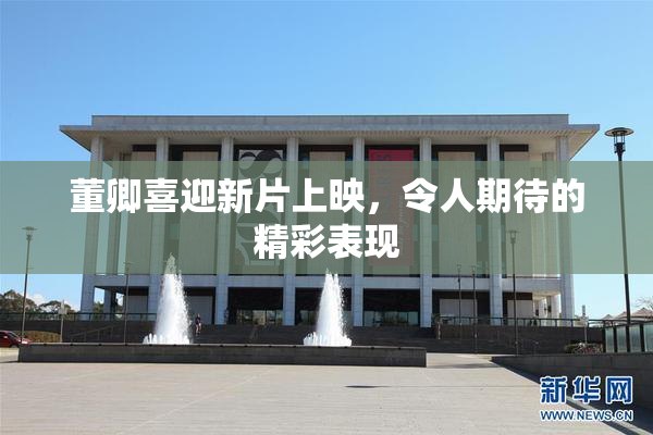 董卿喜迎新片上映，令人期待的精彩表现