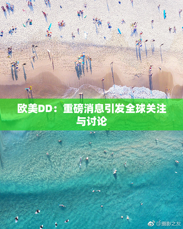 欧美DD：重磅消息引发全球关注与讨论