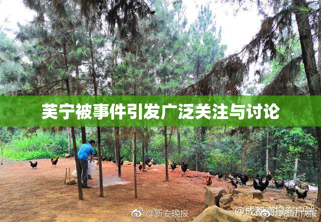 芙宁被事件引发广泛关注与讨论
