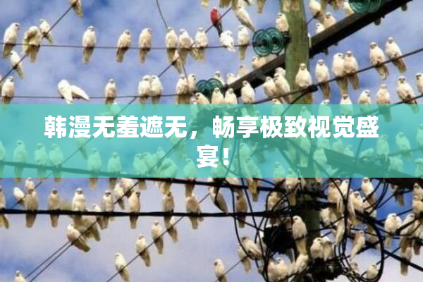 韩漫无羞遮无，畅享极致视觉盛宴！