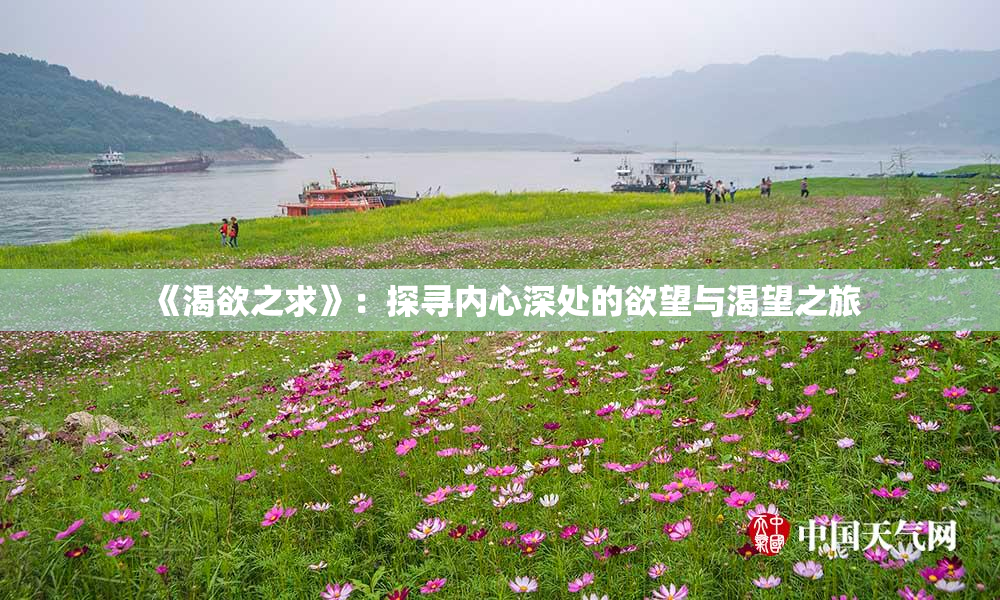 《渴欲之求》：探寻内心深处的欲望与渴望之旅