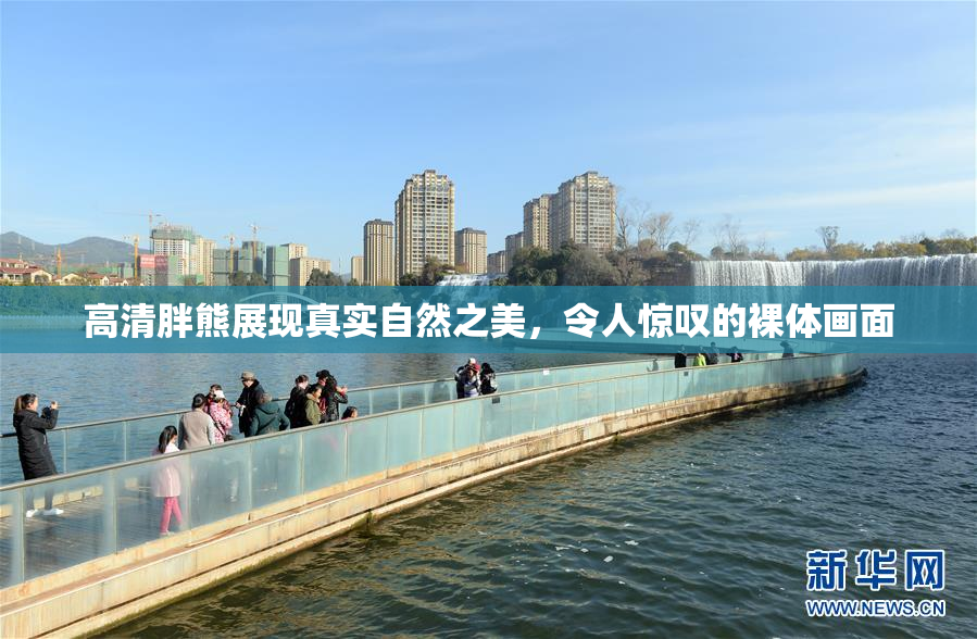 高清胖熊展现真实自然之美，令人惊叹的裸体画面