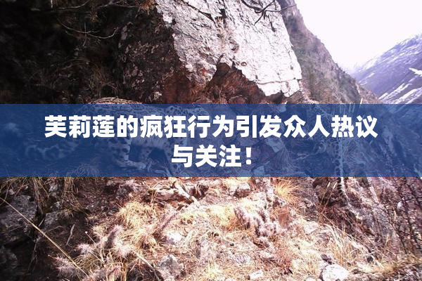 芙莉莲的疯狂行为引发众人热议与关注！