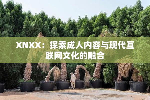 XNXX：探索成人内容与现代互联网文化的融合
