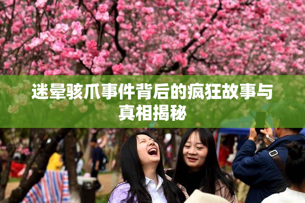 迷晕骇爪事件背后的疯狂故事与真相揭秘