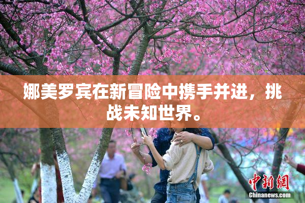 娜美罗宾在新冒险中携手并进，挑战未知世界。